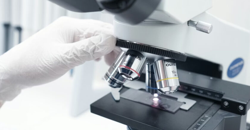 España lidera la inversión de 1.100 millones de euros en biotecnología industrial para valorizar el 75% de los coproductos agroalimentarios