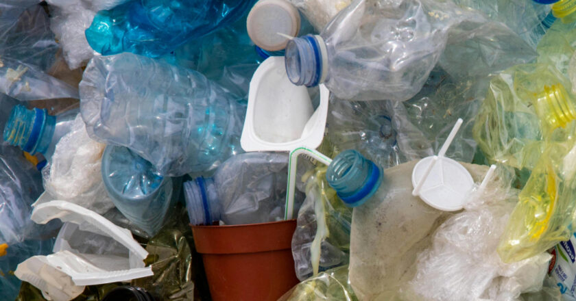 La industria española alcanza una tasa de reciclado de plásticos del 52% y acelera para cumplir con el Real Decreto de Envases