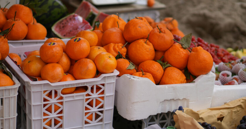 El sector ecológico en España alcanza los 3.884 millones de euros en exportaciones mientras el consumo interno vira hacia la proximidad y la transparencia