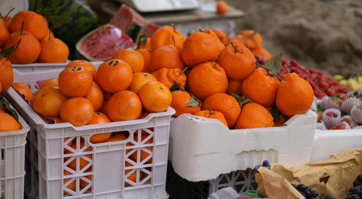 El sector ecológico en España alcanza los 3.884 millones de euros en exportaciones mientras el consumo interno vira hacia la proximidad y la transparencia